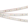 Лента светодиодная RTW 2-5000PS 12V Warm3000 (3528, 300 LED, LUX) (Arlight, 4.8 Вт/м, IP67)