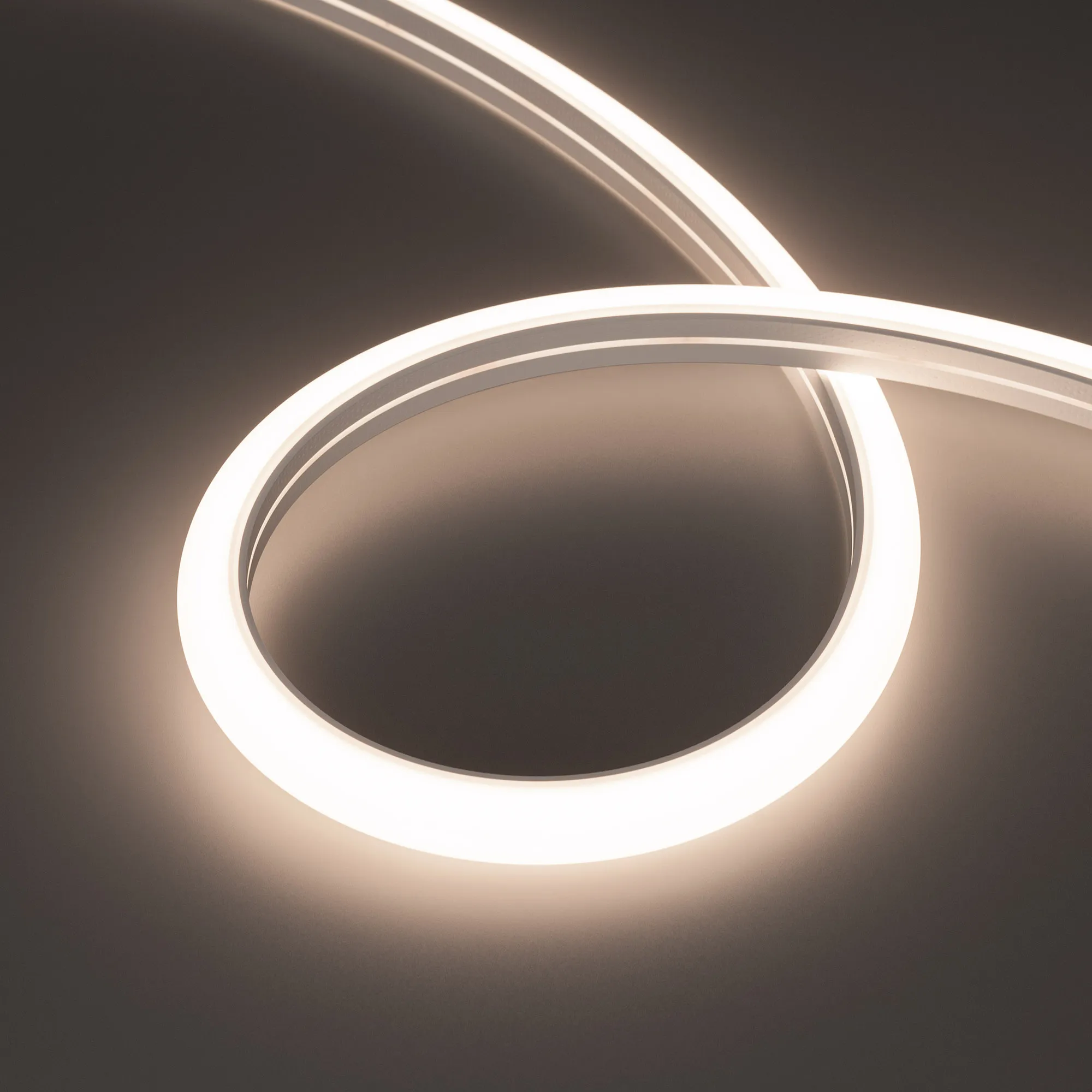 Гибкий неон ARL-MOONLIGHT-1516-DOME 24V Day (Arlight, 11 Вт/м, IP67) - изображение товара